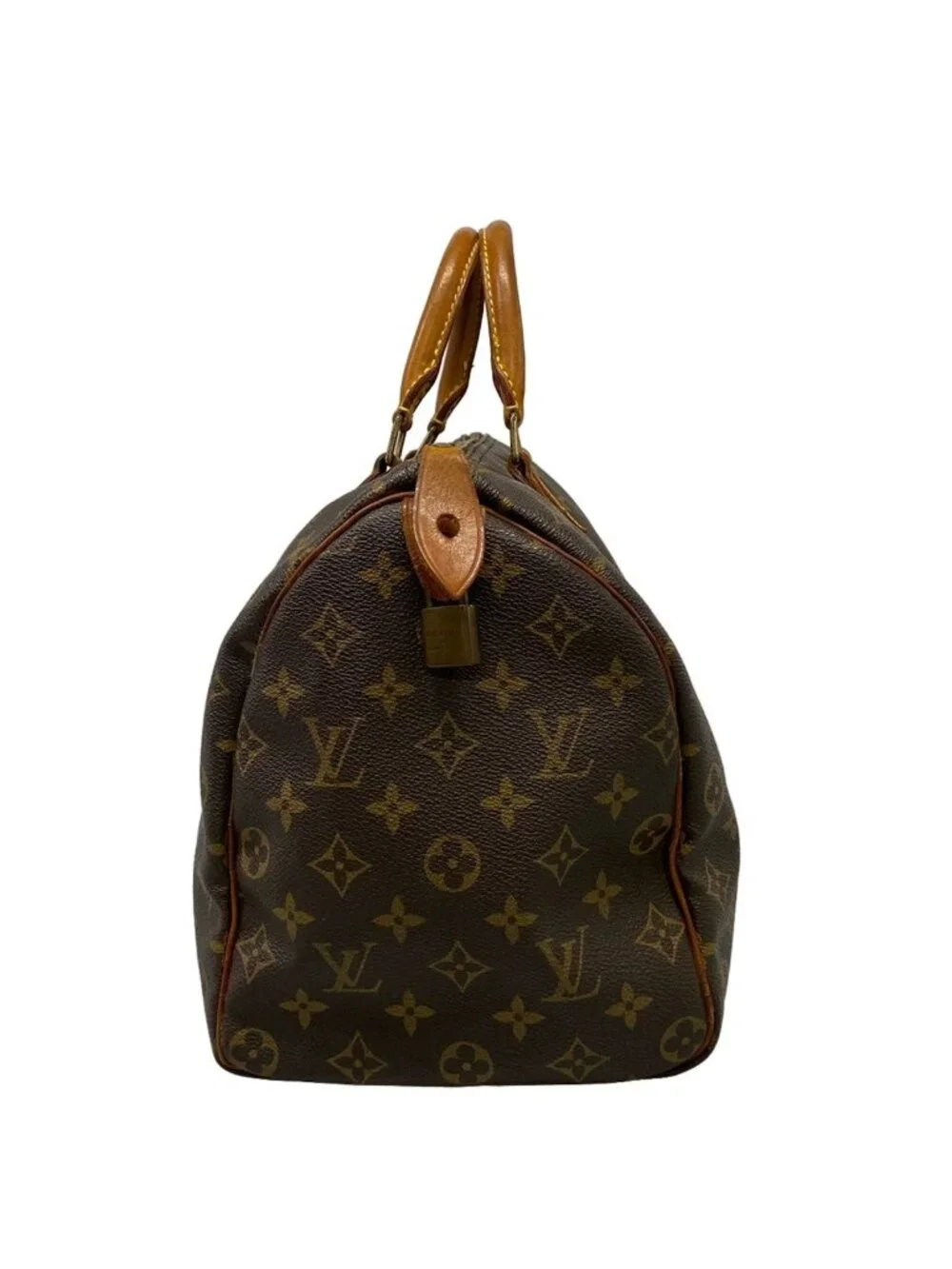 Louis Vuitton category handbag